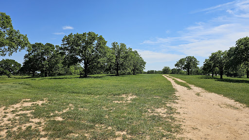 Hey Dude Ranch - Visual