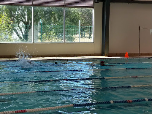 Gimnasio Parque Ecologico