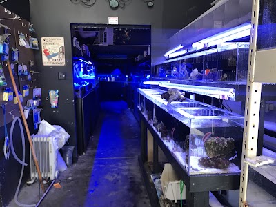 North County Tropical Fish Store - Reefers Garage