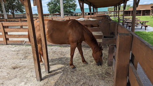 River Ranch Petting Farm Gallery - United States