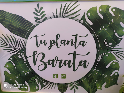 Tu Planta Barata - Thumbnail