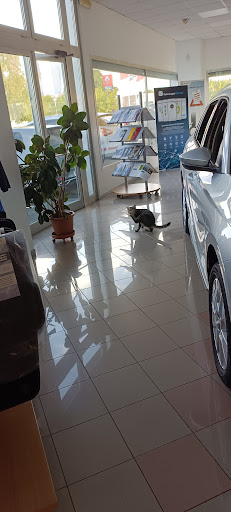 Autofficina Modenini Gallery - Italy