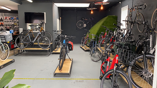 Fietsmannetje Tenways specialist - Thumbnail