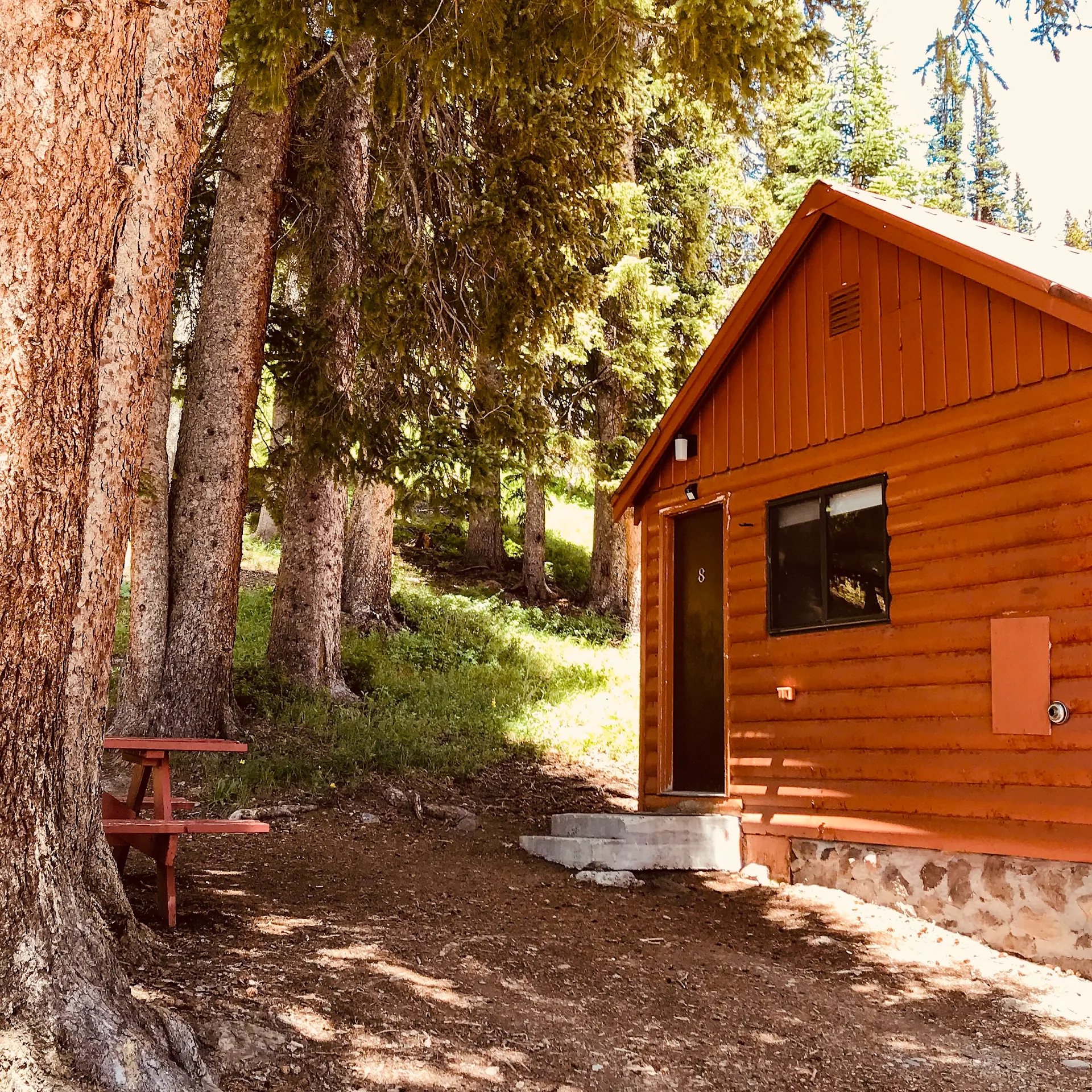 Thunder Mountain Lodge