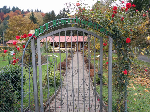 Obst- und Gartenbauverein Rimschweiler e.V. - Thumbnail