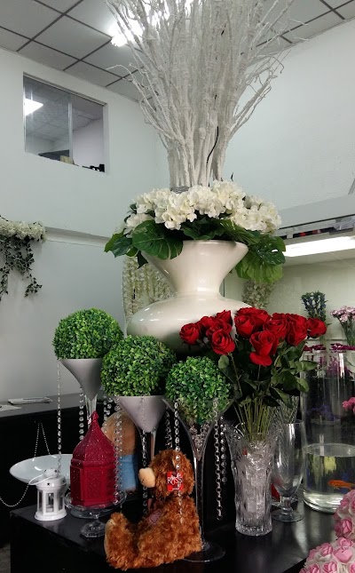 Photos of Heavens Garden General Trading LLC