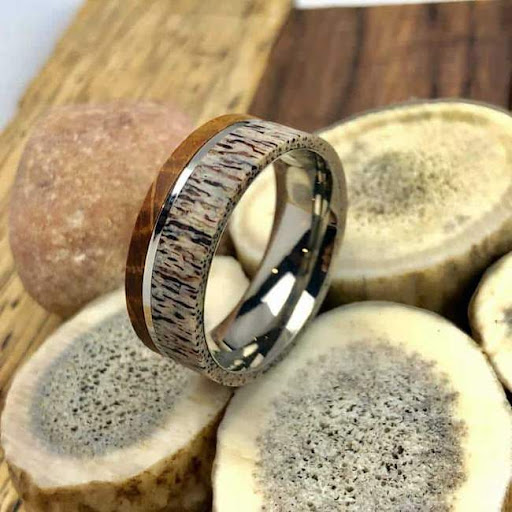 Twisted Bands - Visual