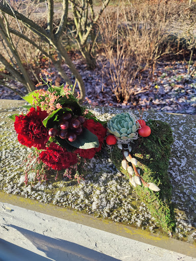 Strandblomman - Visual