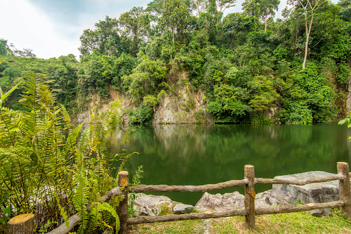 Bukit Batok Nature Park - Thumbnail
