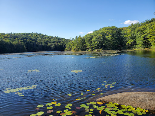 Catamount State Forest - Visual