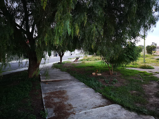 Parque canino Bosques de Reforma - Thumbnail