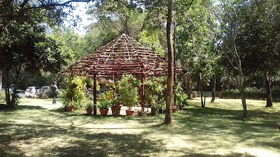 Photos of Matbronze Art Gallery & Foundry