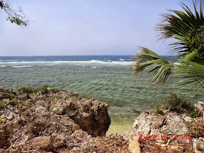 Photos of Restaurant Pescaderia Liche