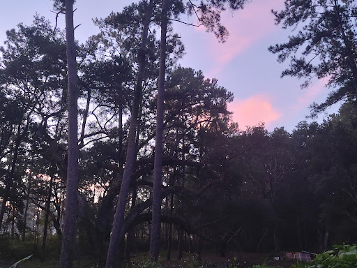 Edgewater mobile home park - Thumbnail