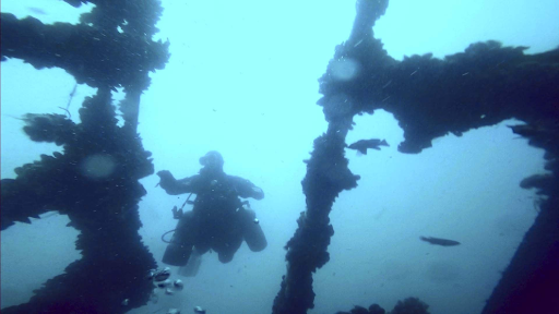 South Jersey Scuba - Thumbnail