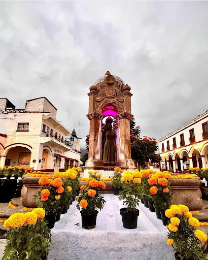 Colon Garden - Thumbnail