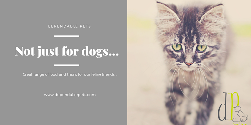 Dependable Pets - Visual