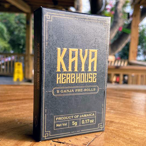 Kaya Falmouth by null