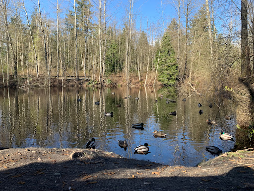 Hawthorne Rotary Park Gallery - Canada