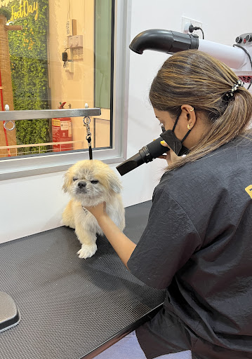 Pawfect Day 爱宠日寄 (Pet hotel, Pet grooming & Daycare)