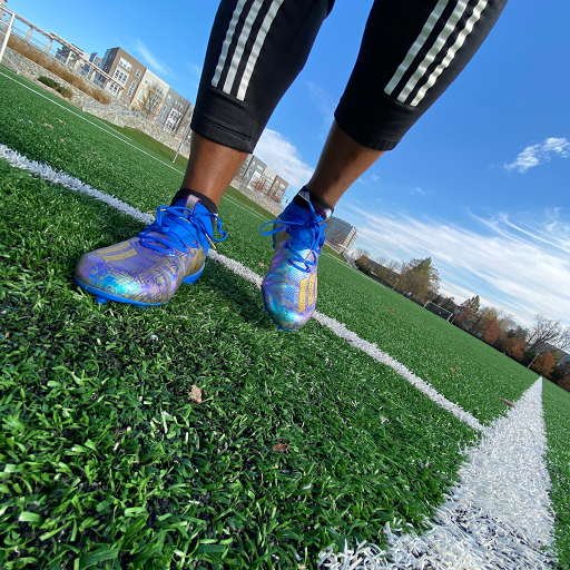 The Elite Athletic Program - Visual
