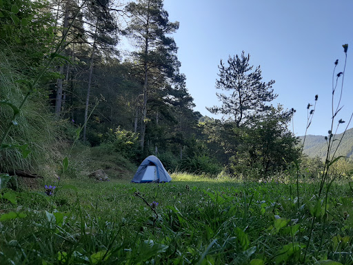 Camping Masia la Bauma - Thumbnail