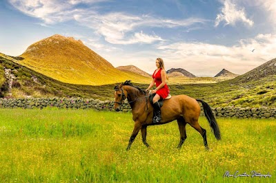 photo of Gamekeepers Lodge Equestrian Centre