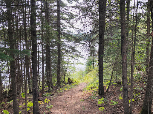 Spray Lake Hiking Trail Gallery - Canada