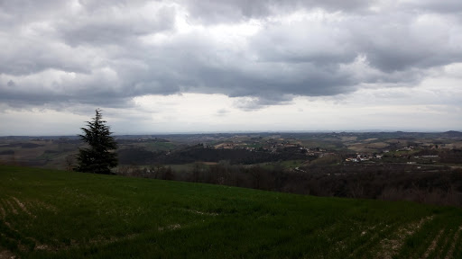 Parco della Stele - Thumbnail