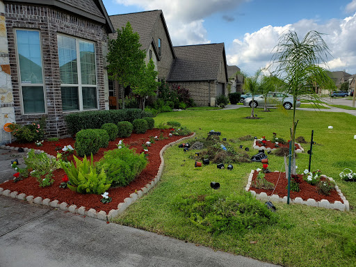 Chan tree services - Visual