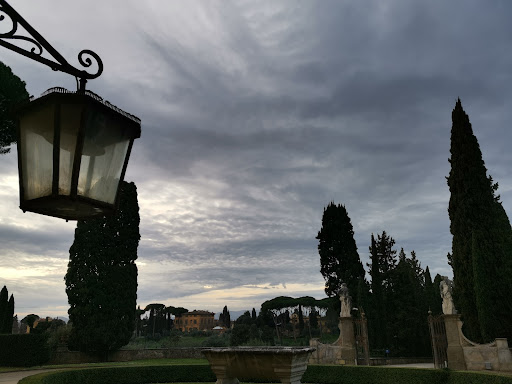 NYU Florence - Visual