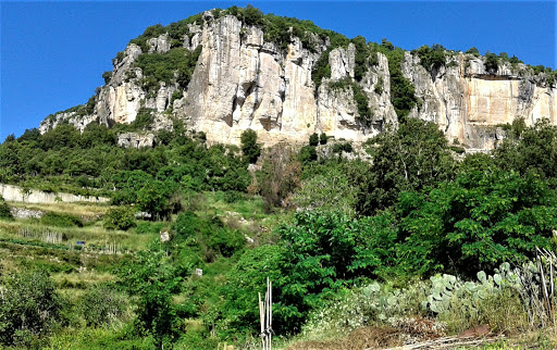 Settore Lecorci - Visual