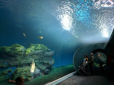 Pacific Seas Aquarium