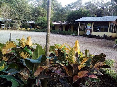 Photos of Cabinas y Restaurante Oasis del Golfo