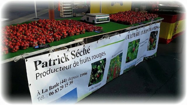 Patrick SÉCHÉ Producteur