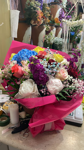 Piante Fiori E Addobbi Terrecuso