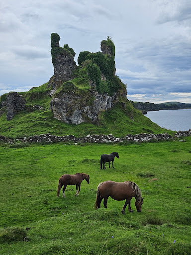 Castle Coeffin - Thumbnail