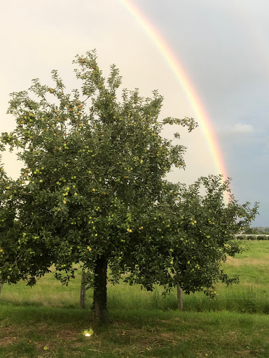 Vorgebirgsblick - Thumbnail