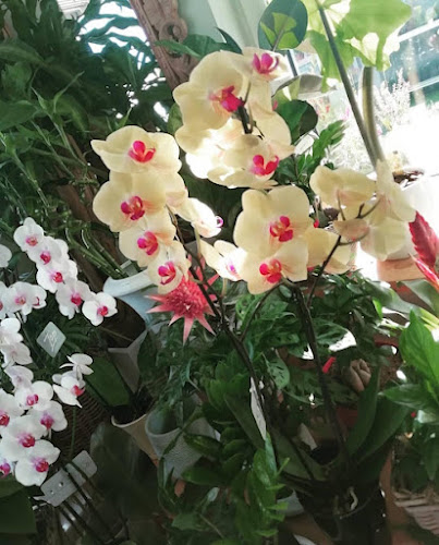 2ο ΧΙΛ. Π.Ε.Ο ΧΑΝΙΩΝ – ΚΙΣΣΑΜΟΥ ΘΕΣΗ ΓΕΡΜΑΝΙΚΟ ΠΟΥΛΙ ΧΑΝΙΑ, Χανιά 731 00