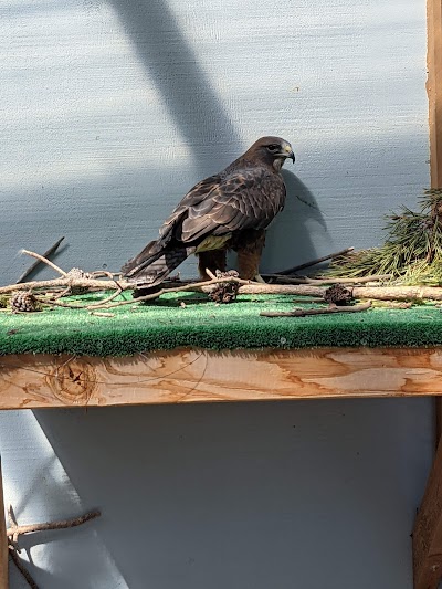 Sunriver Nature Center & Observatory