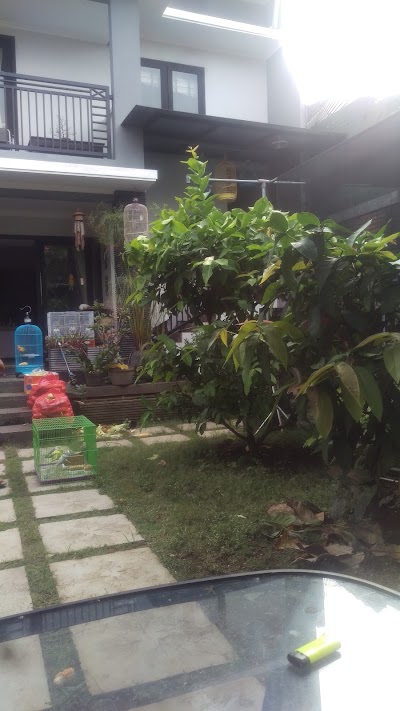 Photos of Grash Parrot