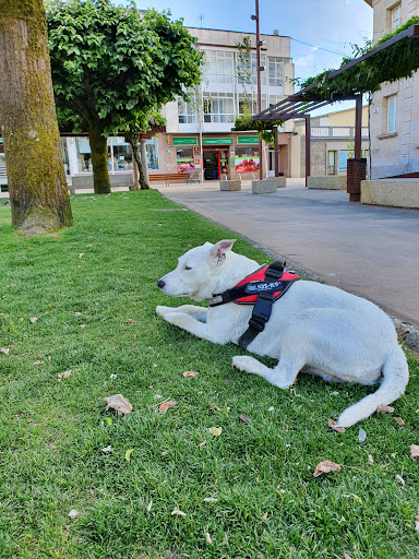 Goián - Visual