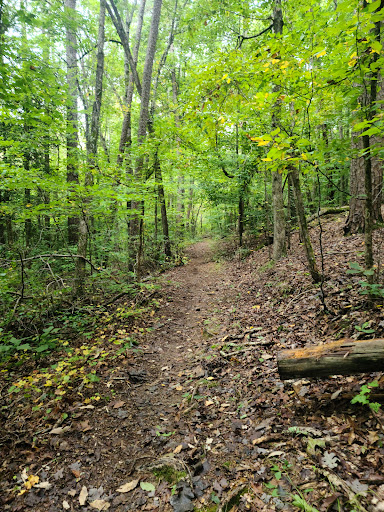 Birkhead Mountains Wilderness - Thumbnail