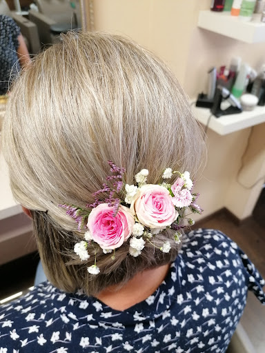 Haare & Co