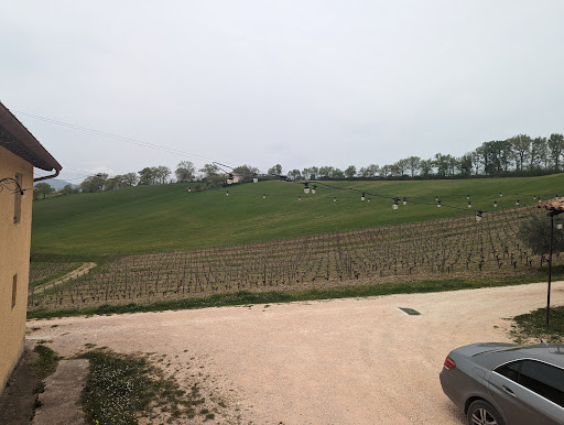 Tenuta Cambrugiano - Thumbnail