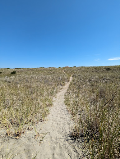 Grayland Beach - Visual