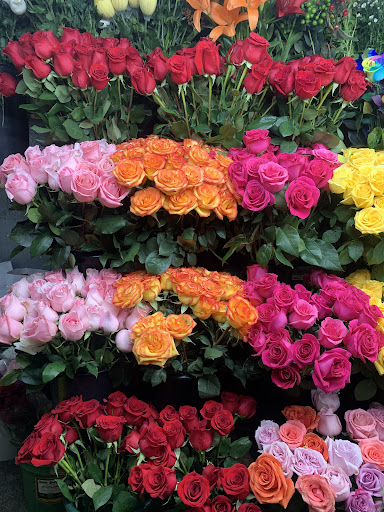 Fordham Flowers - Thumbnail