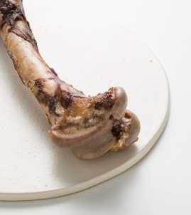 無添加のペットのおやつ工房ネネとケイト