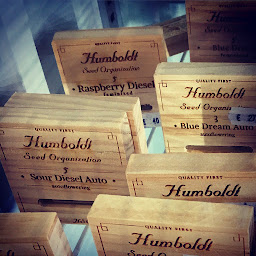 Photo n°22 de DUVERGER - CBD Shop, Growshop, Smokeshop, Seeds à Aubière (Magasin bio)