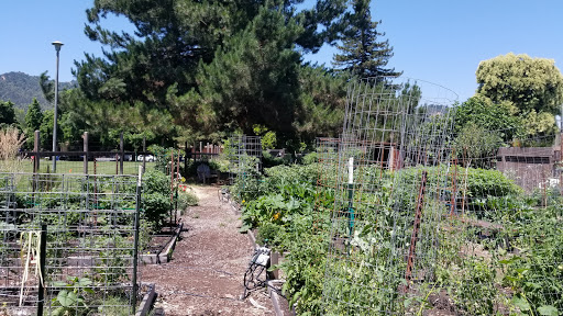 Vinewood gardens - Thumbnail